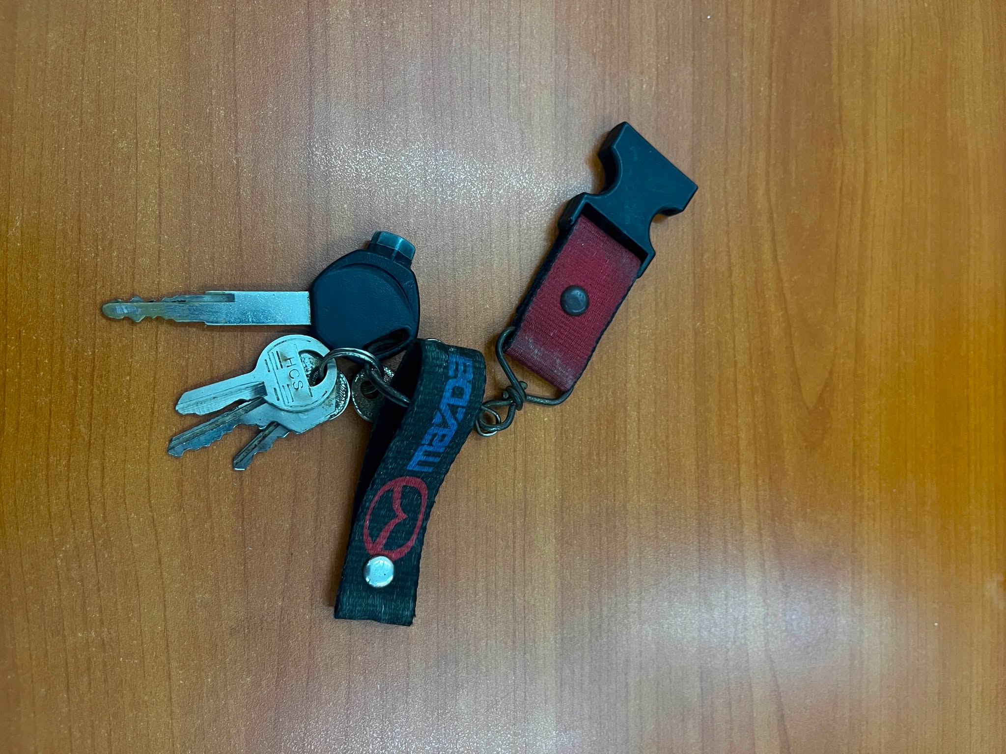 Lost/Found Item