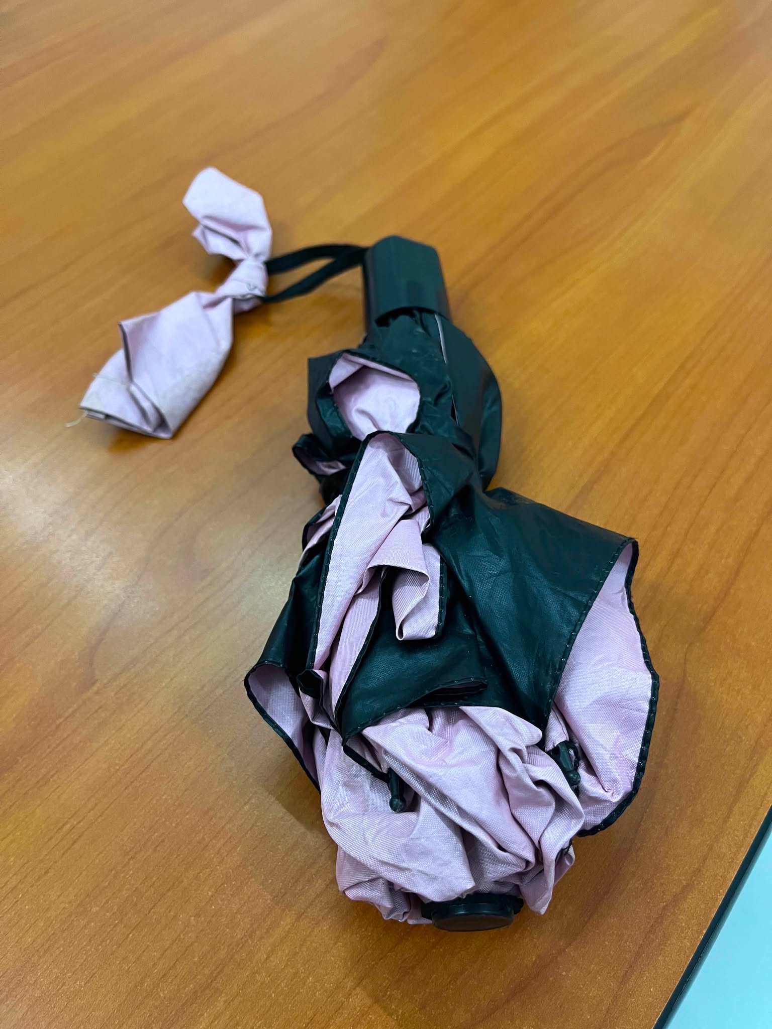 Lost/Found Item